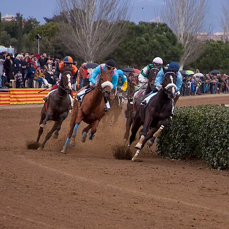 Appartamento Pineda Park
